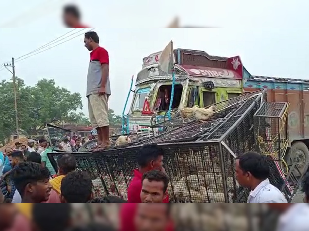 जब अचानक सड़क पर दौड़ने लगी मुर्गियां, लग गई लूटने वालों की होड़