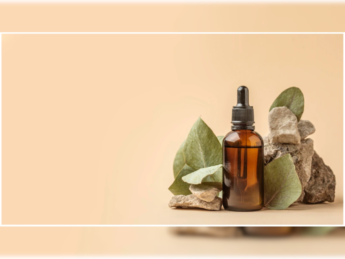 Tea Tree Oil: Skin Care के लिए टी ट्री आयल है सबसे बेहतर, इस्तेमाल करते ही ब्लैकहेड से लेकर मुहांसे होने लगेंगे गायब 