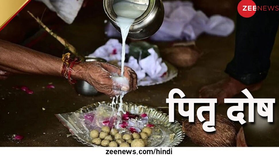 Yellow Mustard Seeds Remedy mustard seeds in corner of house Yellow sarso brings positivity