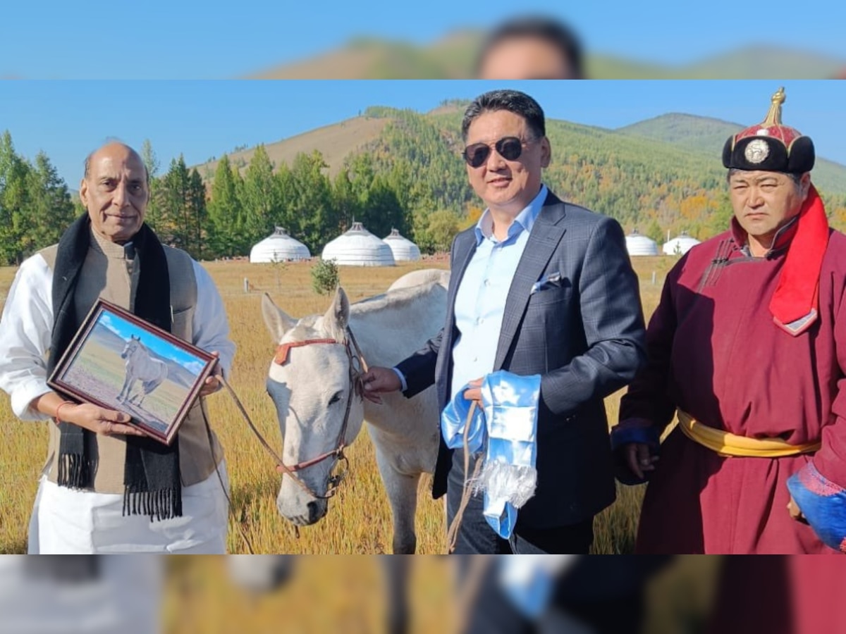 Rajnath Singh Mongolia Visit: कहानी 'बाहुबली' मंगोलियाई घोड़ों की, जिन पर बैठकर Changez Khan ने लगा दिए थे लाशों के ढेर