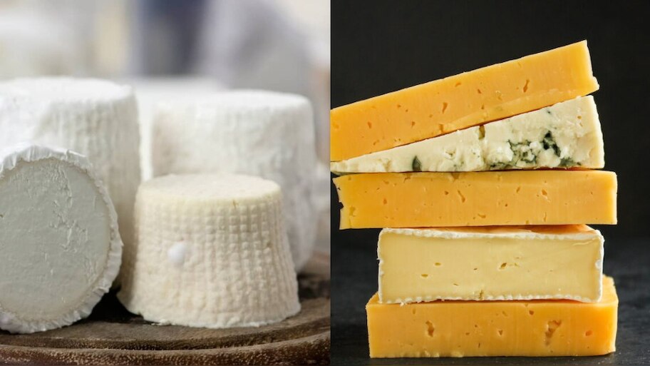 world's most expensive cheese is made from balkan donkey's milk sold 80 ...