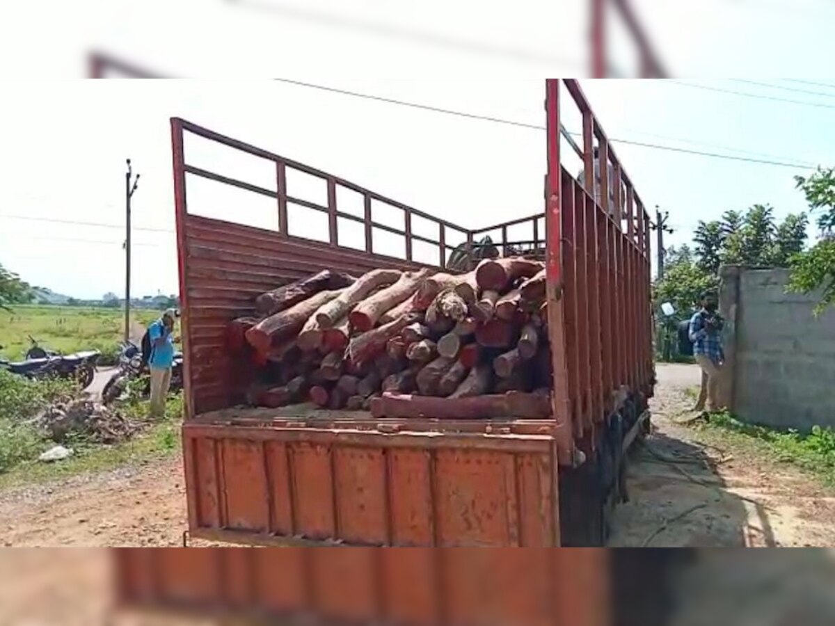 Red sandal wood smuggling: 'ପୁଷ୍ପା' ଫେରାର! ଓଡ଼ିଶାରୁ ଚେନ୍ନାଇ ଚୋରାଚାଲାଣ ବେଳେ ଦୁଇ କୋଟିର ଚନ୍ଦନ କାଠ ଜବତ