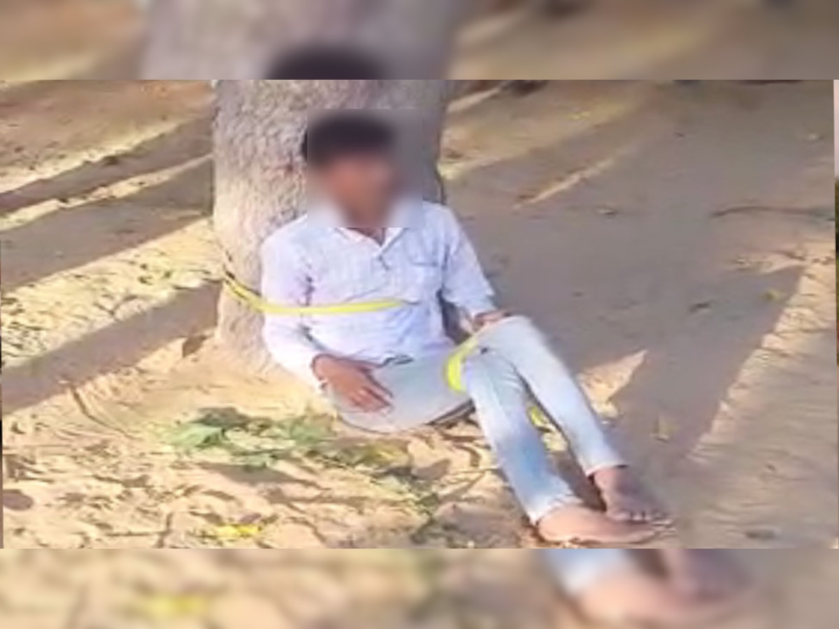 उदयपुरवाटी: पंजी का बास में पेड़ से बांधकर युवक की पिटाई, सोशल मीडिया पर वीडियो वायरल