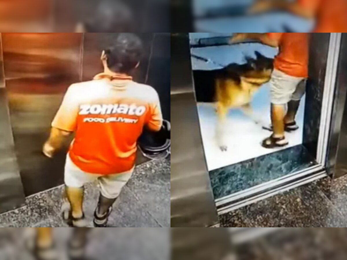 Viral Video: नोएडा-गाजियाबाद के बाद अब मुंबई में कुत्ते का हमला, डिलिवरी बॉय के प्राइवेट पार्ट पर काटा