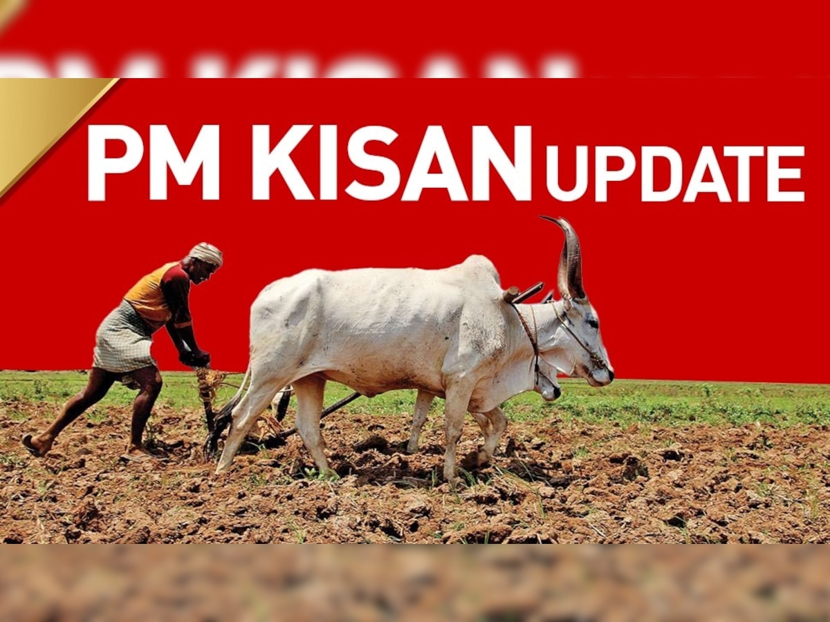 PM Kisan Yojana: करोड़ों किसानों की बल्ले-बल्ले! 12वीं किस्त से पहले मिलेगा एक और बड़ा फायदा, जल्दी करें ये काम