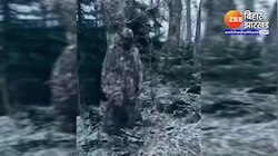 आंखों के सामने होकर भी दिखाई नहीं देते ये सैनिक, देखें वीडियो