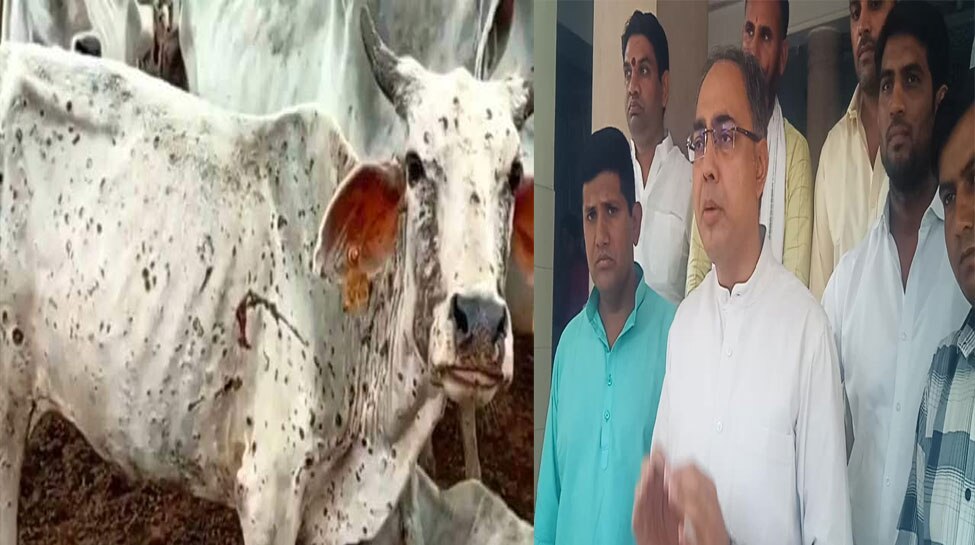 सांगानेर विधायक अशोक लाहोटी ने लम्पी वायरस पर DM को सौंपा ज्ञापन, मौतों पर जताई नराजगी