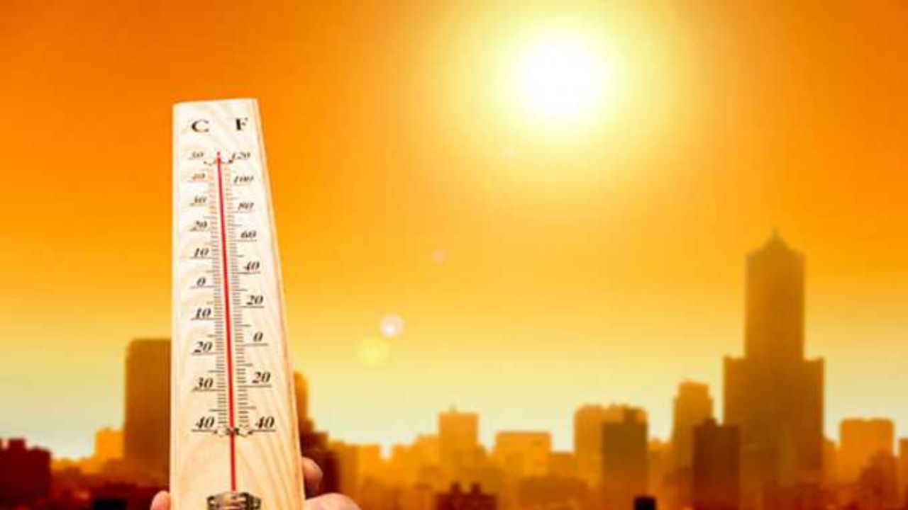 heat and humidity of the month of September bothering people ...