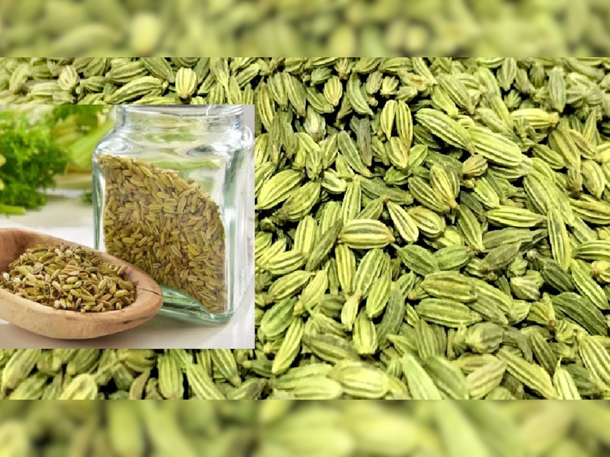 Fennel Seeds Benefits For Men Sexual Life Consum With Milk At Every Night Saunf Se Shighrapatan 0078