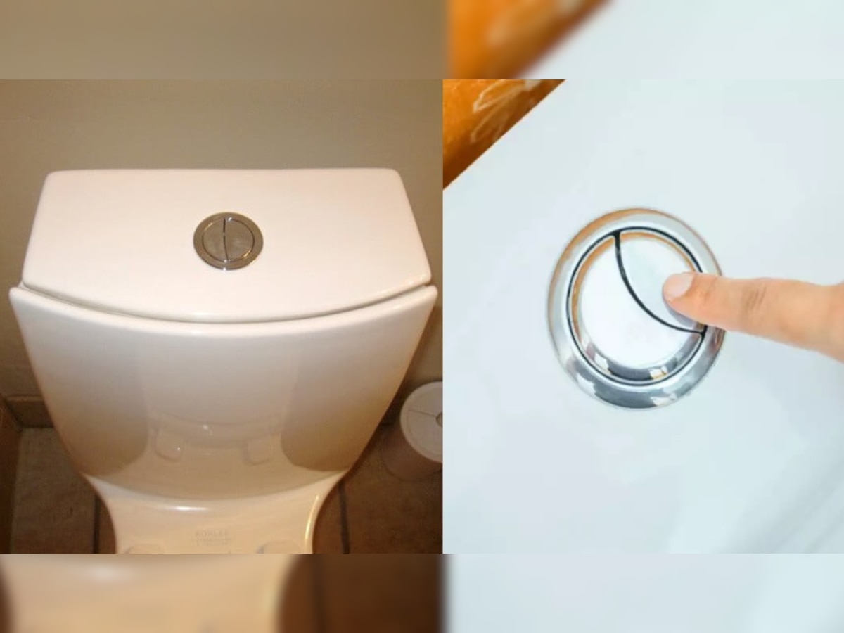 आखिर क्यों टॉयलेट फ्लश में दिया होता है एक बड़ा और एक छोटा बटन? वजह जान आज से ही करेंगे इस्तेमाल