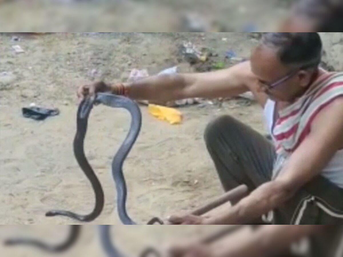 सरदारशहर: 20 सालों से जहरीले सांपों को पकड़ रहे थे सर्पमित्र विनोद, कोबरा के काटने से मौत