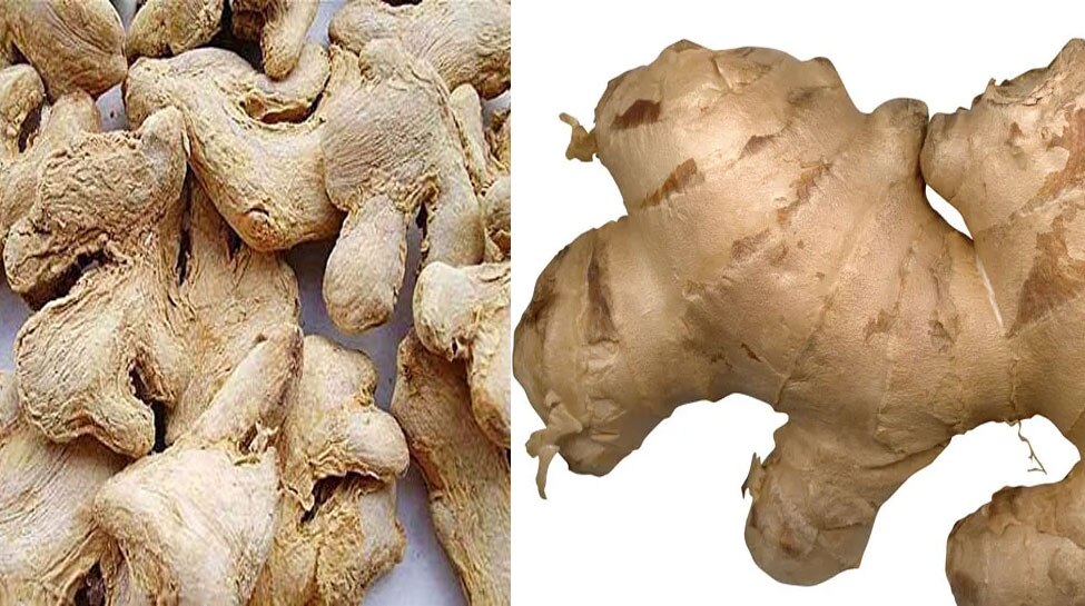 know here which is better dry ginger or fresh ginger Benefits Of
