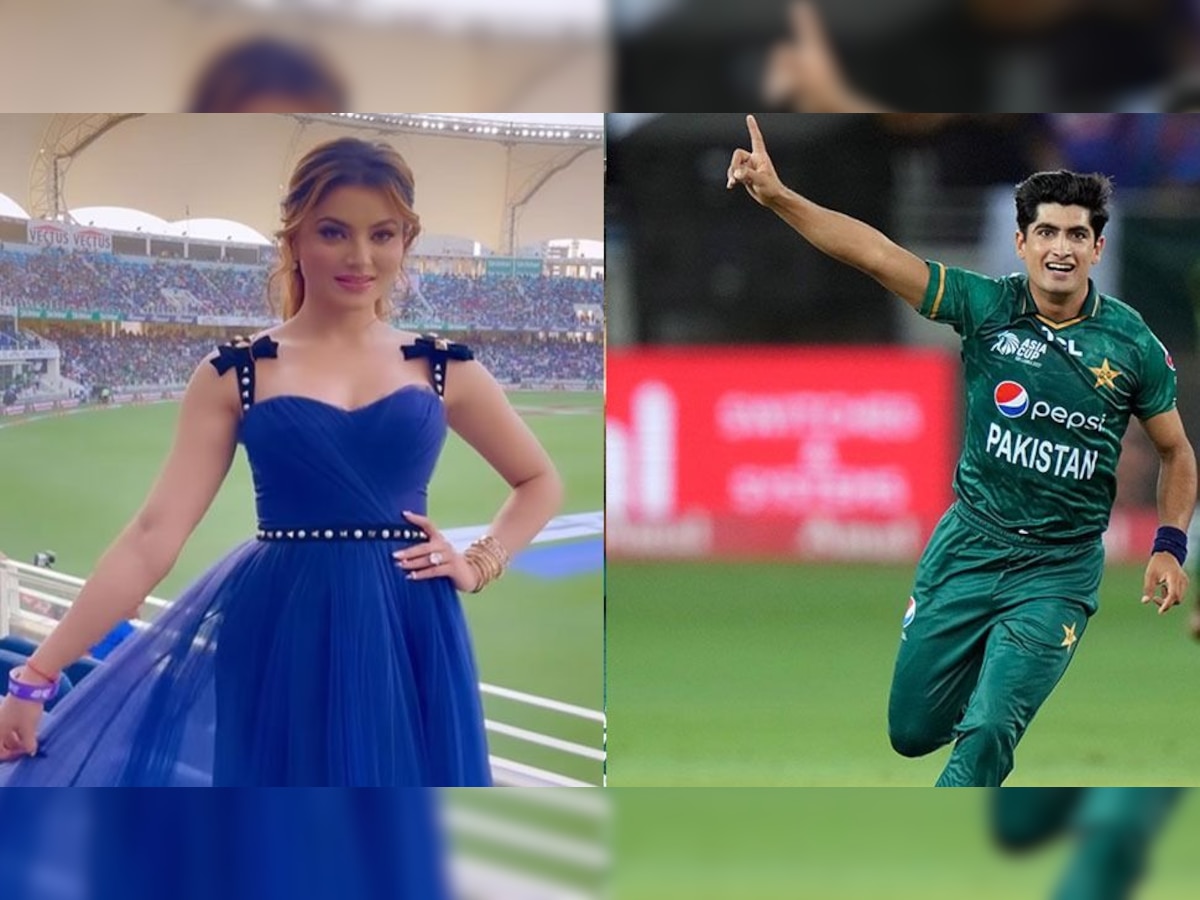पाकिस्तानी क्रिकेटर नसीम शाह और उर्वशी रौतेला ने इंस्टाग्राम पर की ऐसी हरकत, पब्लिक ने किया ट्रोल