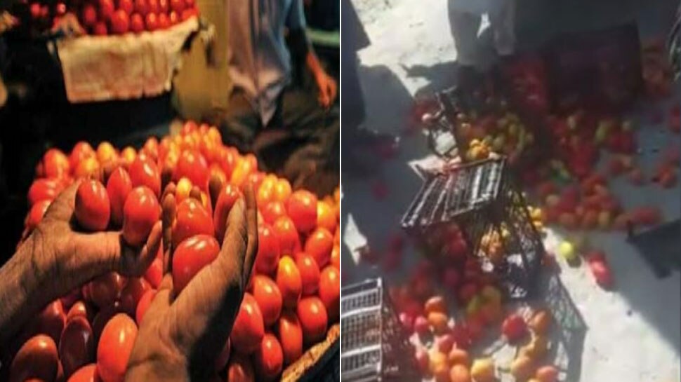 pakistan farmers protest against tomatoes of iran throws on road video