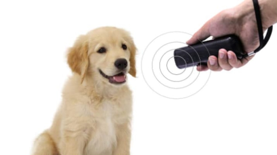 Dog Repellent this device provide safety from dogs available on amazon