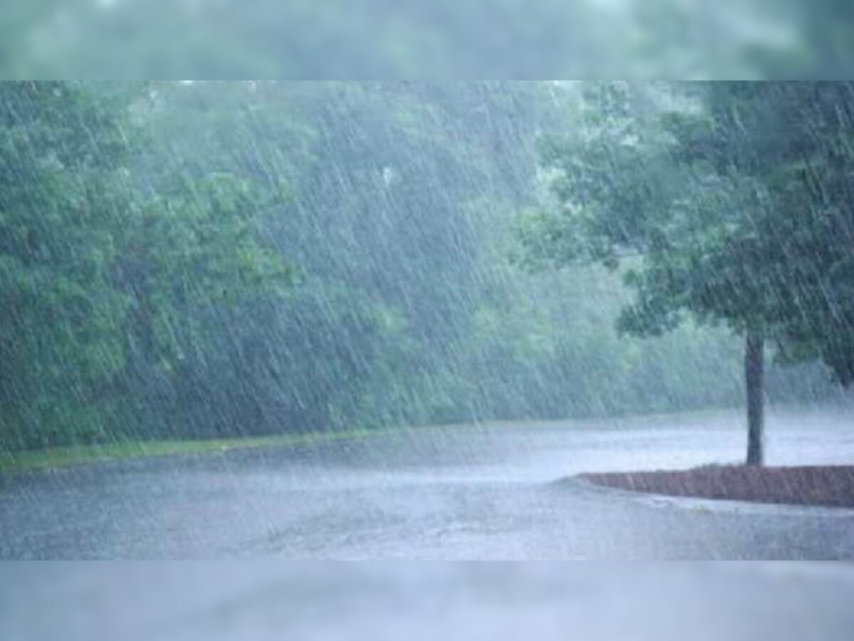 MP Weather: अगले 24 घंटे भारी बारिश की संभावना, कई जिलों में हाई अलर्ट 
