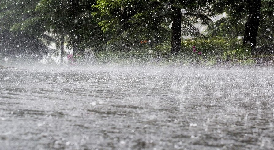Delhi Weather: आज उमस से मिलेगी राहत, IMD ने जताई बारिश की संभावना