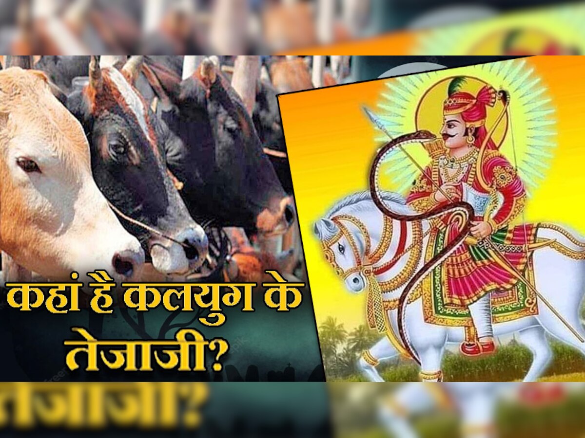 Tejaji Maharaj : गौमाता को है कलयुग के वीर तेजाजी का इंतजार, जिन्होंने गायों के लिए दी खुद की बलि | Lumpy Disease