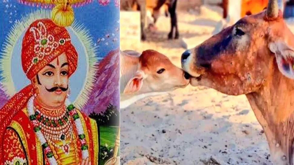 राजस्थान: तड़प रही गायों को आज भी पाबूजी राठौड़ की जरुरत, जो गायों के लिए कुर्बान हो