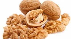 Walnut Benefits: अखरोट के हैं चौंका देने वाले फायदे! पुरुष इस वक्त करें सेवन