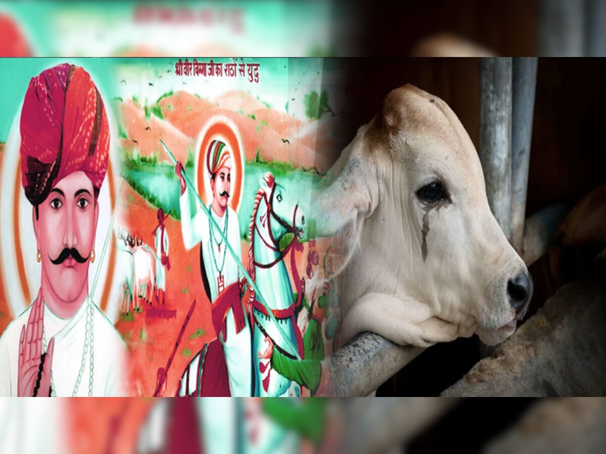 गौरक्षक लोकदेवता बिग्गाजी 