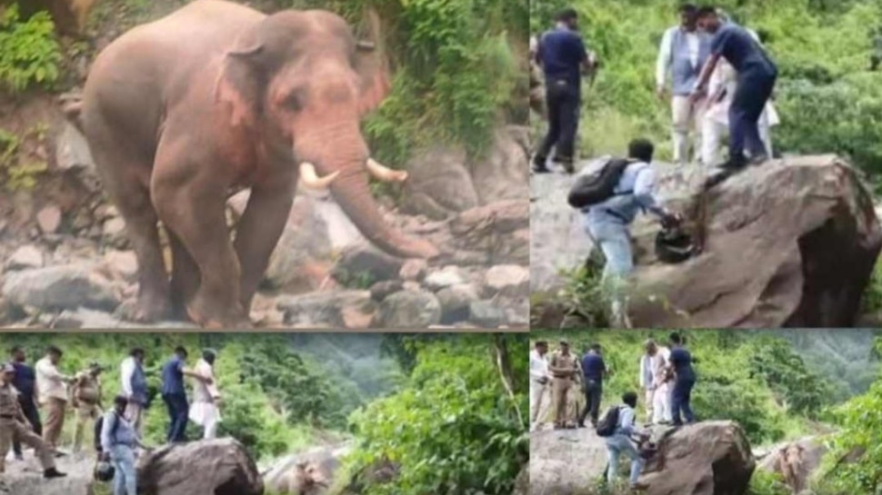 Trivendra Singh Rawat Elephant Attack: पूर्व सीएम त्रिवेंद्र सिंह रावत के काफिले के सामने अचानक आ गया हाथी, ऐसे बचानी पड़ी जान