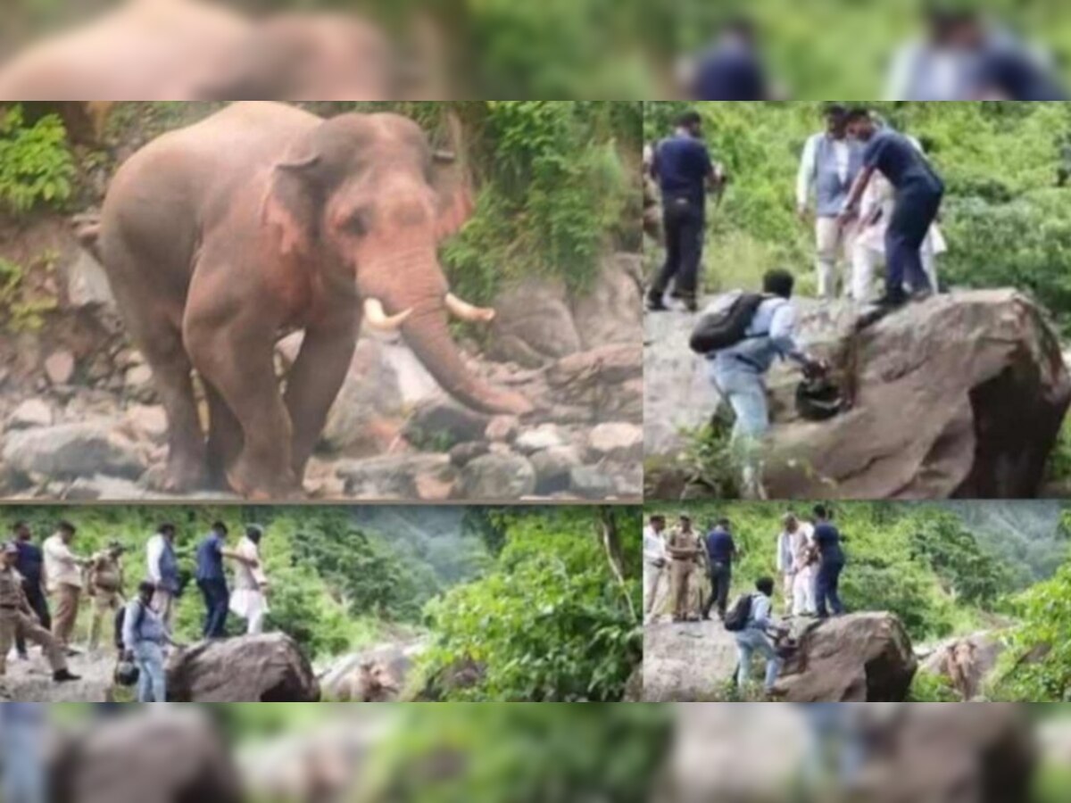 Trivendra Singh Rawat Elephant Attack: पूर्व सीएम त्रिवेंद्र सिंह रावत के काफिले के सामने अचानक आ गया हाथी, ऐसे बचानी पड़ी जान