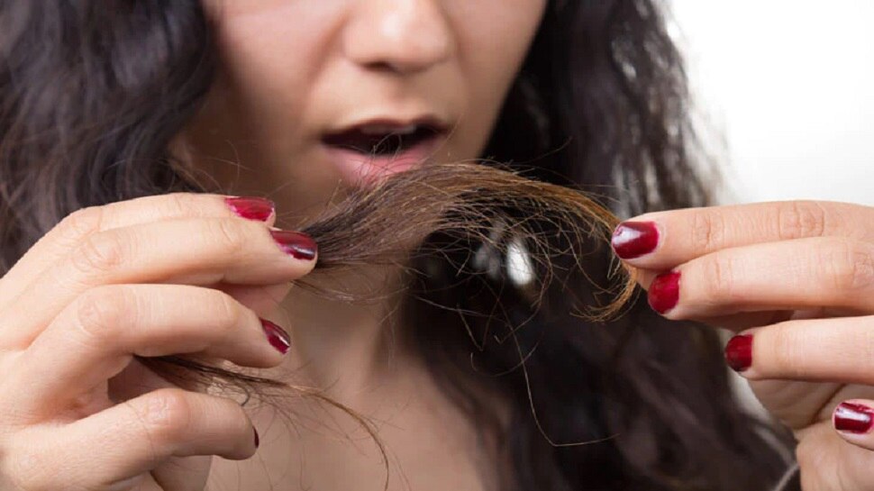 Home Remedies for Split Ends: दोमुंहे बालों की समस्या से हैं परेशान तो अपनाएं ये घरेलू नुस्खे, आपके बाल भी बनेंगे हेल्दी