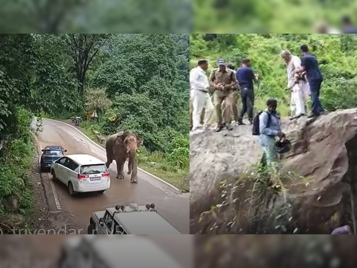 Exclusive Video : गुस्सैल हाथी से हुआ सामना तो काफिला छोड़ पहाड़ पर चढ़ गए पूर्व सीएम त्रिवेंद्र सिंह रावत