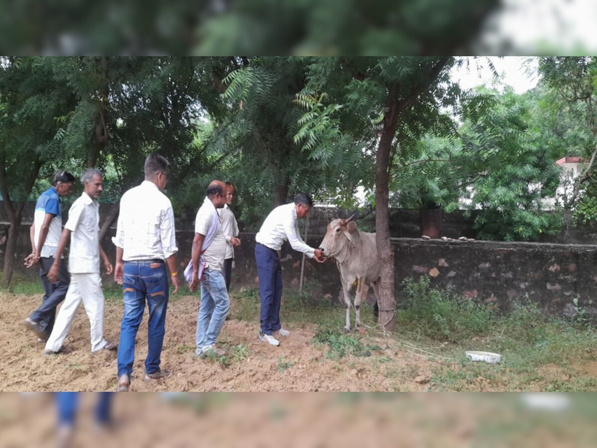 सामाजिक संस्थाओं की मुहिम