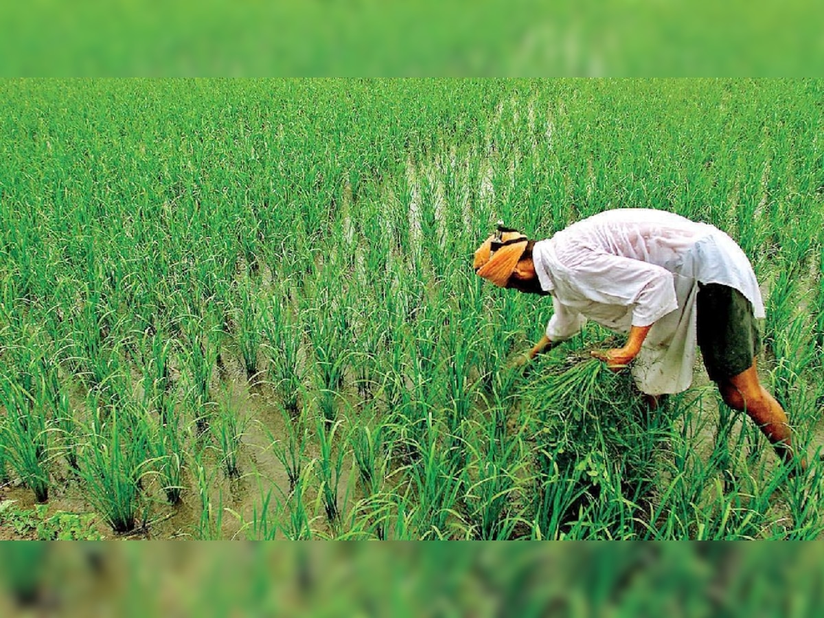 PM Kisan Yojana: 12वीं किस्त से पहले बुरी खबर, इन किसानों से वसूली जाएगी सम्मान निधि