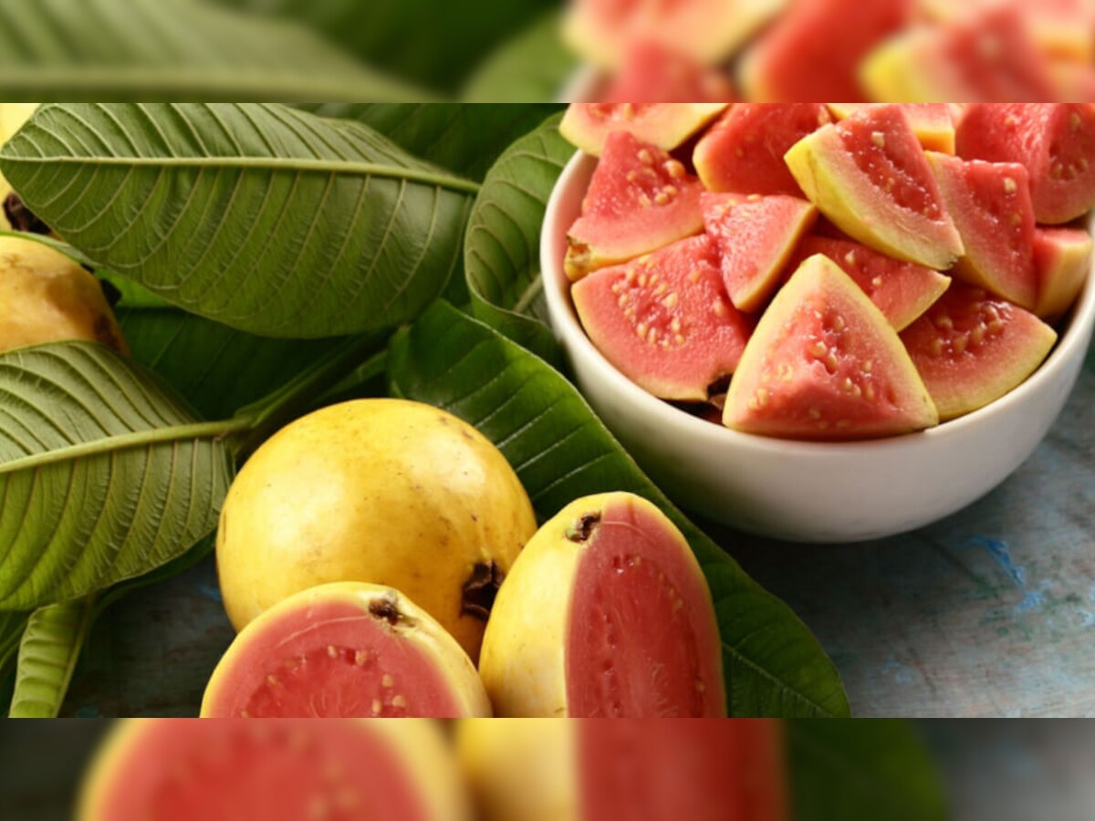 Guava Benefits: अमरूद का ऐसे करें सेवन, जड़ से खत्म हो जाएगा कब्ज़, बवासीर भी नहीं करेगी परेशान