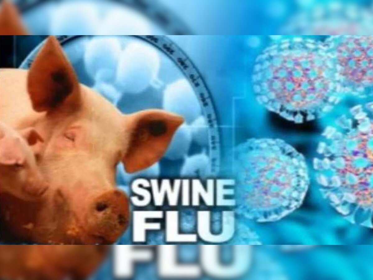 जमशेदपुर में 20 मरीजों के सैंपल की जांच में 8 में स्वाइन फ्लू की पुष्टि हुई है. 