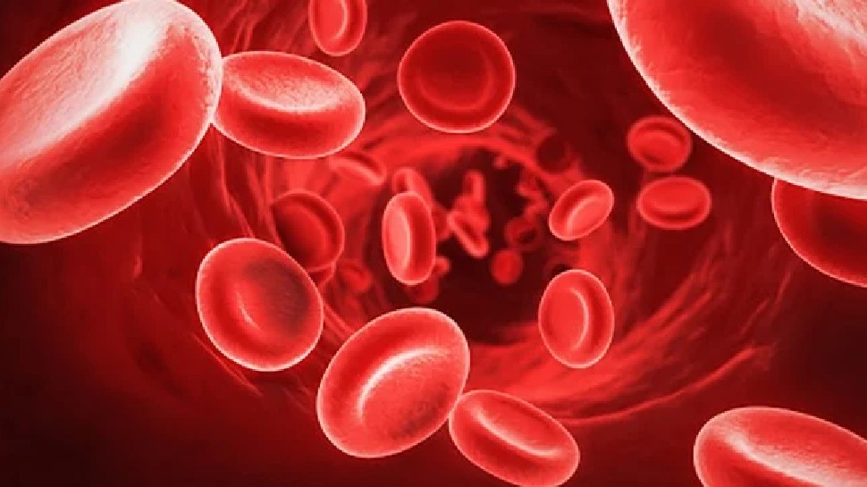 भीगा-भीगा काला चना, साथ में किशमिश, डाइट में करें शामिल, हड्डियों को बनाए मजबूत-Soaked black gram, along with raisins, include in the diet, make bones strong