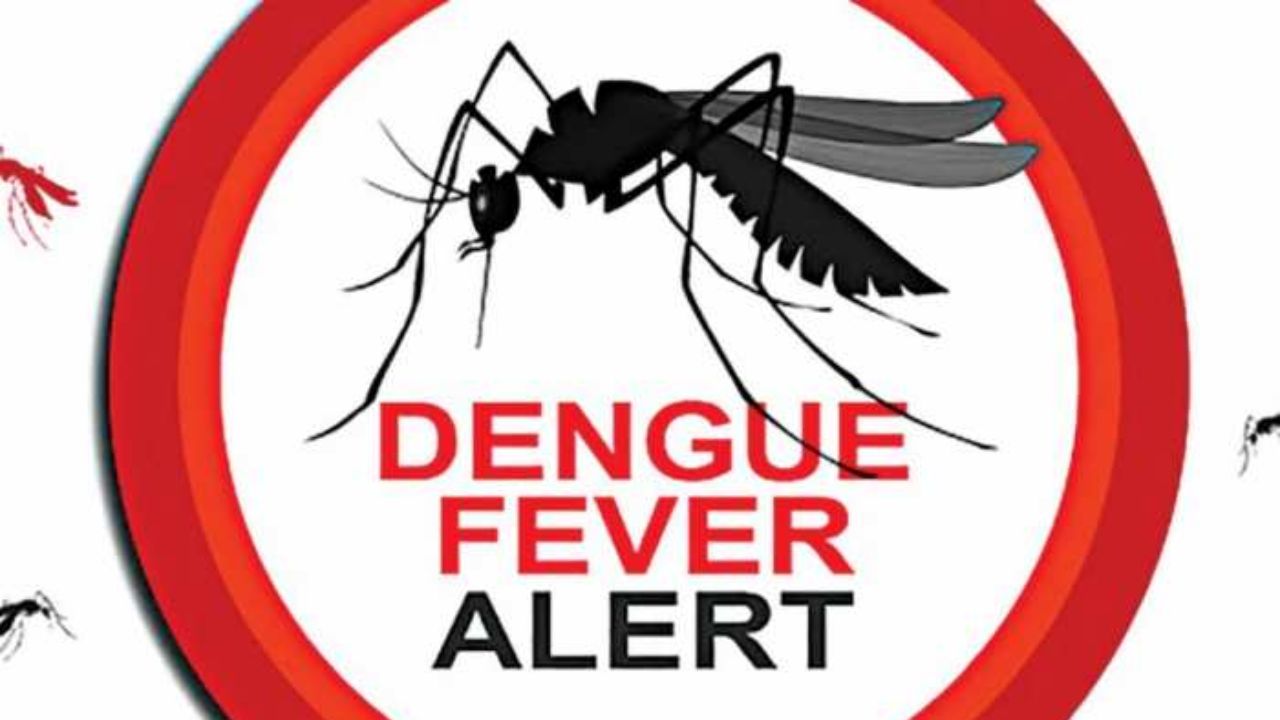 ways-to-avoid-dangerous-disease-like-dengue-breakbone-fever-dengue