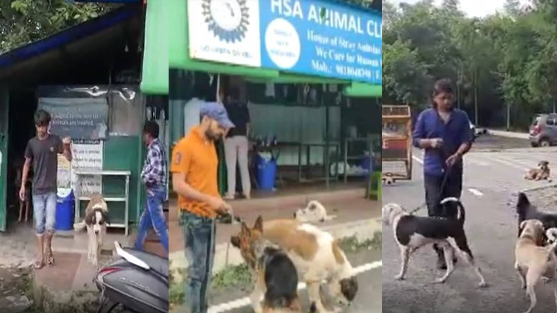 Owners Abandoned their Pet in Noida मालिकों ने कुत्तों को रोड़ पर छोड़ा