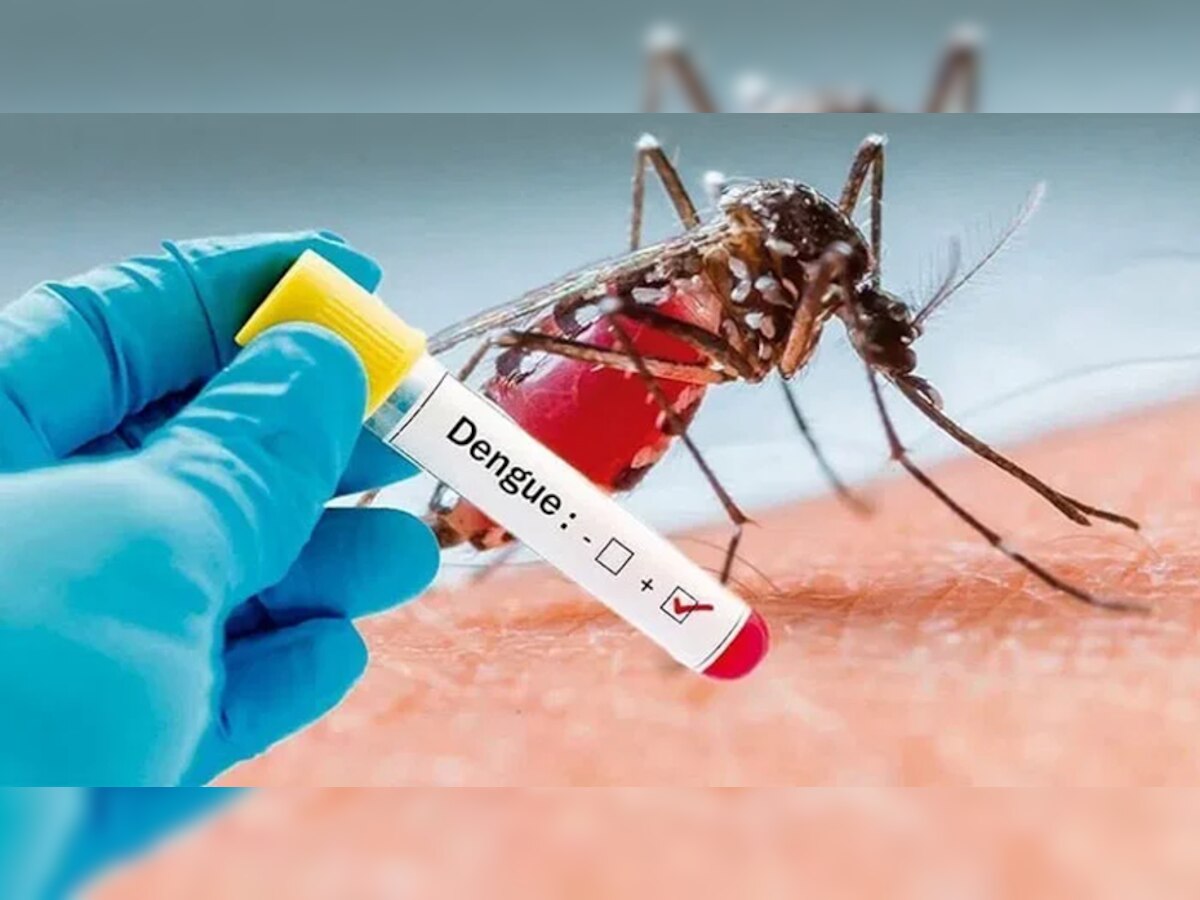 Remedies For Dengue: क्या सचमुच में बकरी का दूध, नारियल पानी और पपीते के पत्तों में छुपा होता है डेंगू का इलाज?