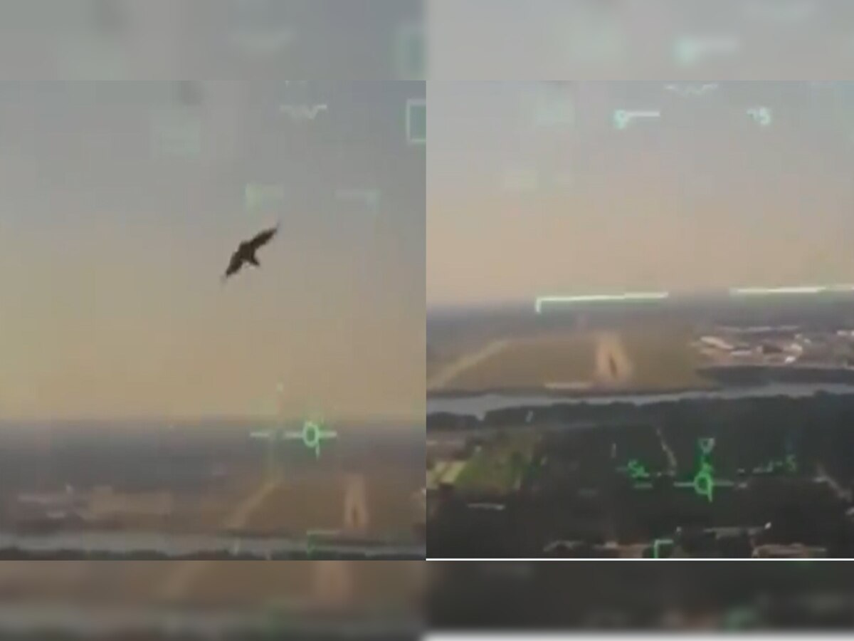 American Plane Crash: पक्षी टकराने से क्रैश हुआ अमेरिकी सेना का विमान, देखें वीडियो