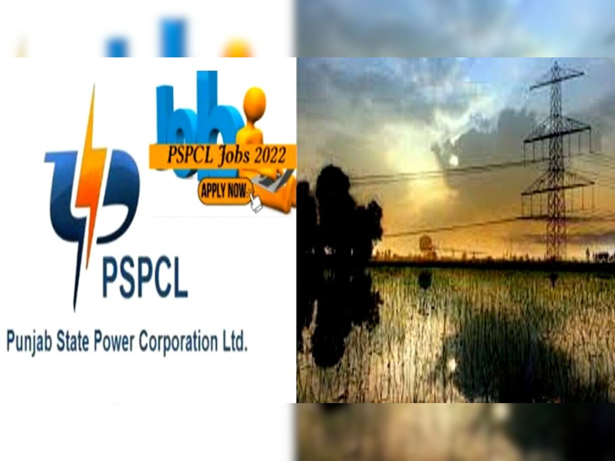 PSPCL Recruitment 2022: पंजाब स्टेट पॉवर में असिस्टेंट लाइनमैन की निकली बंपर भर्ती, 20 सितंबर है आवेदन की आखिरी तारीख 