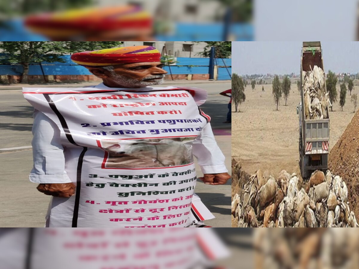 Rajasthan Assembly session : विधानसभा में आज भी हंगामे के आसार, लंपी स्किन से प्रदेश में मरती गायों पर चर्चा की उम्मीद