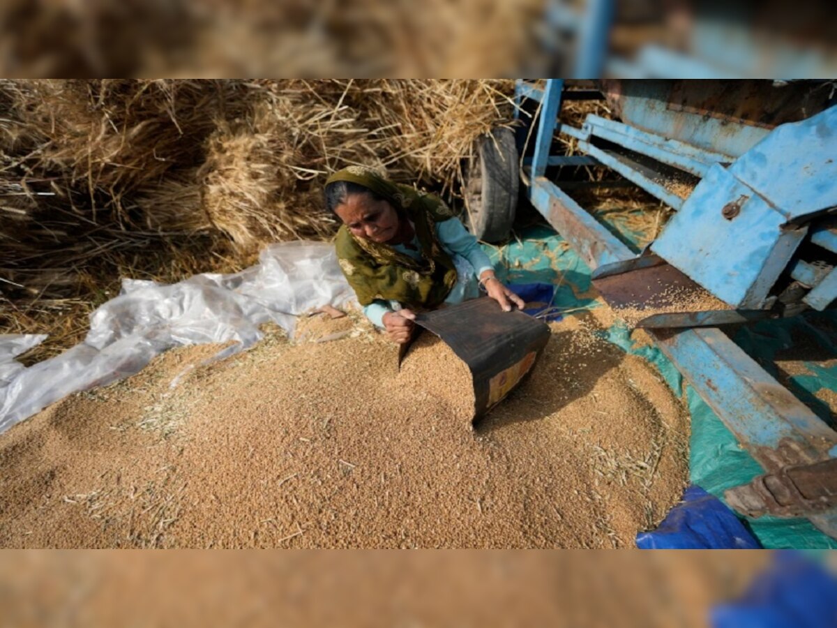 Wheat Price: अच्छी खबर, जल्द सस्ता होगा आटा और गेहूं! सरकार ने बनाया खास प्लान, जानें कितने गिरेंगे रेट्स?