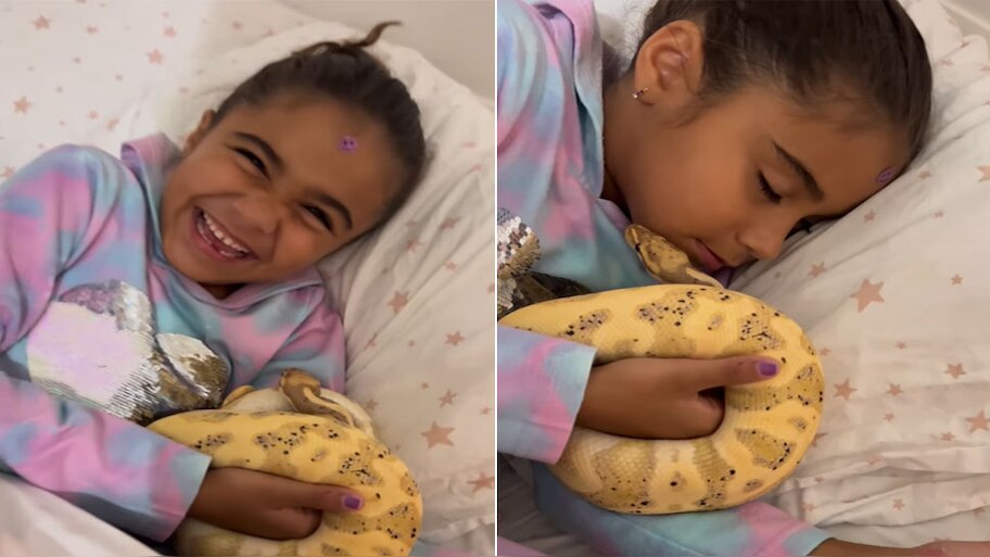snake and girl on same bed kid kissed python trending video goes viral ...