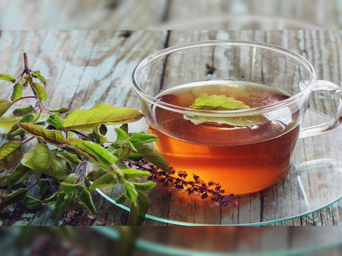 Tulsi Tea: रोज पीजिए तुलसी की एक प्याली चाय, कई बीमारियां रहेंगी दूर