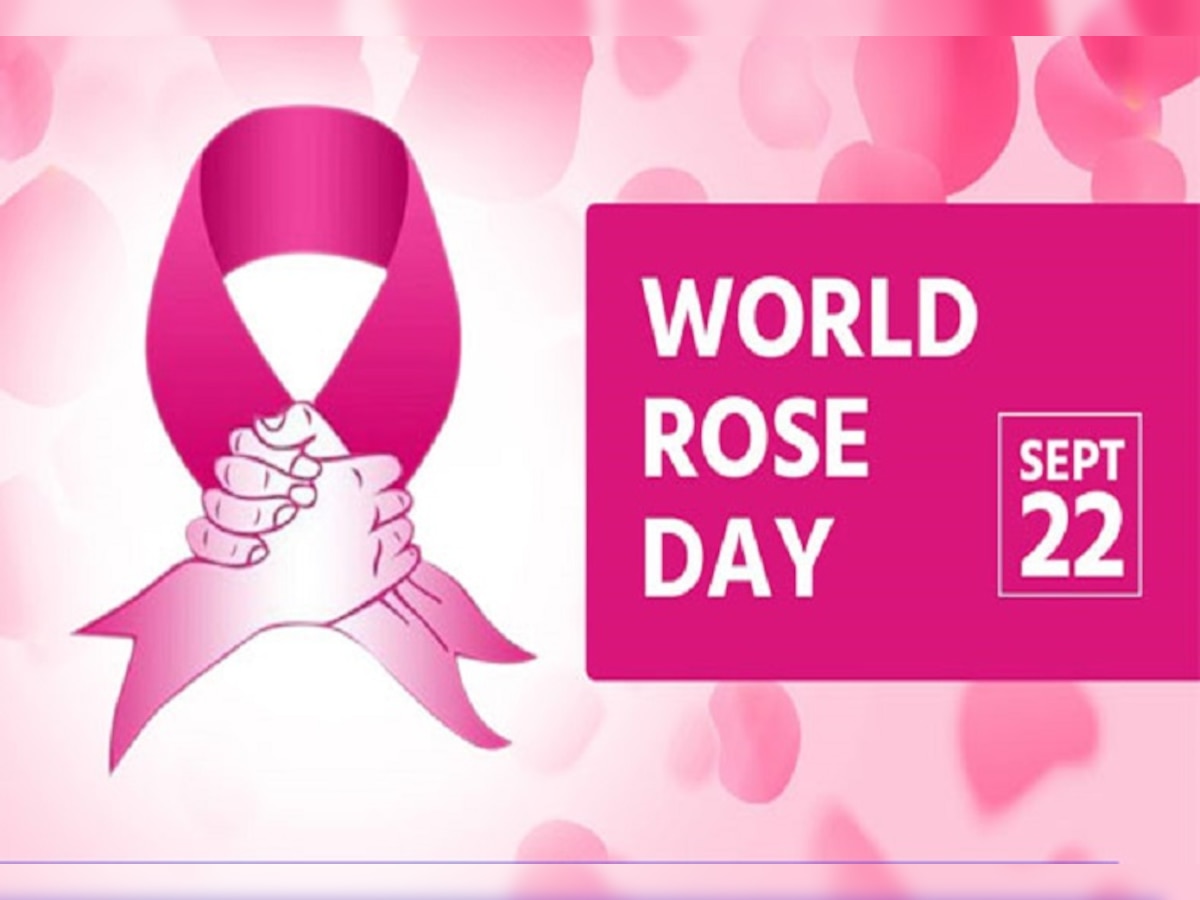 world rose day today know the history and significance of the day