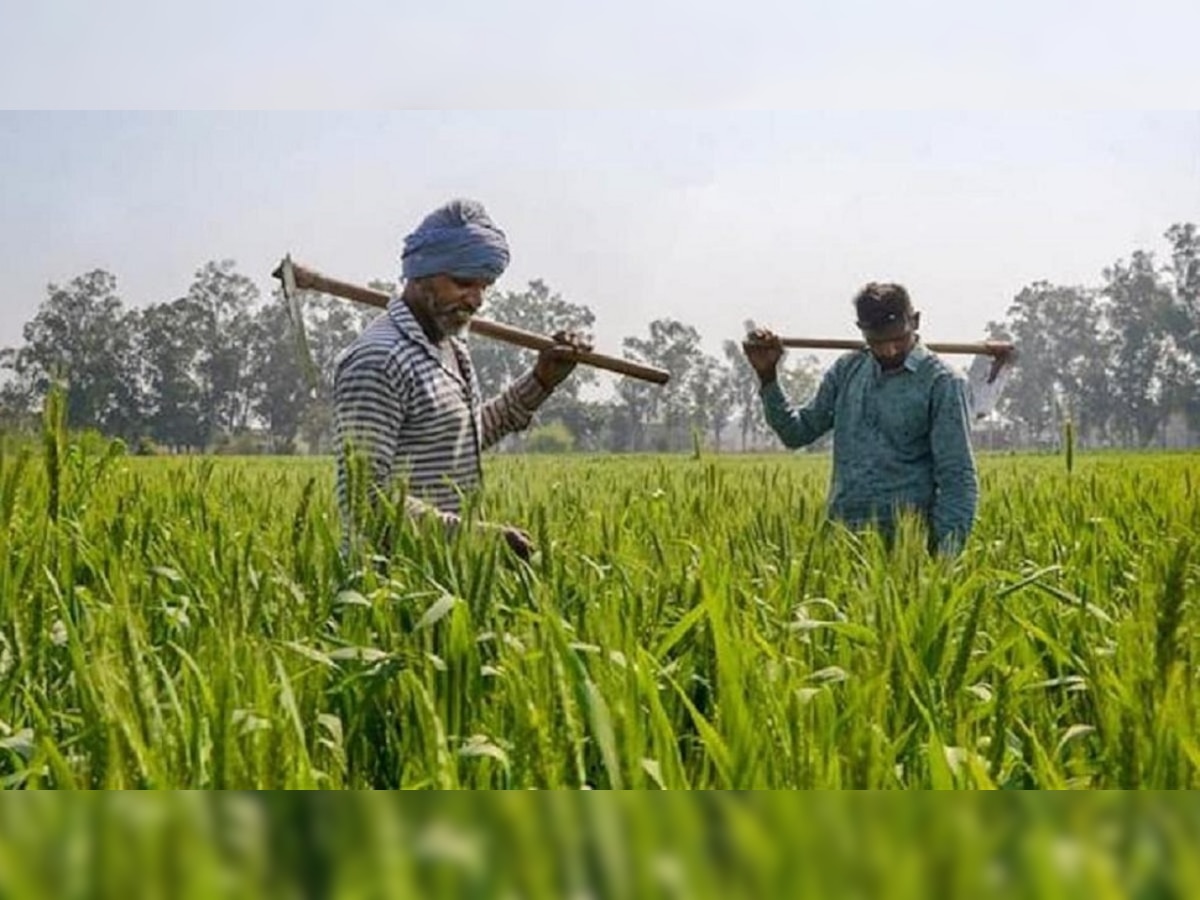 PM Kisan: मोदी सरकार किसानों को हर महीने दे रही 3 हजार रुपये, जानें कैसे मिलेगा पैसा