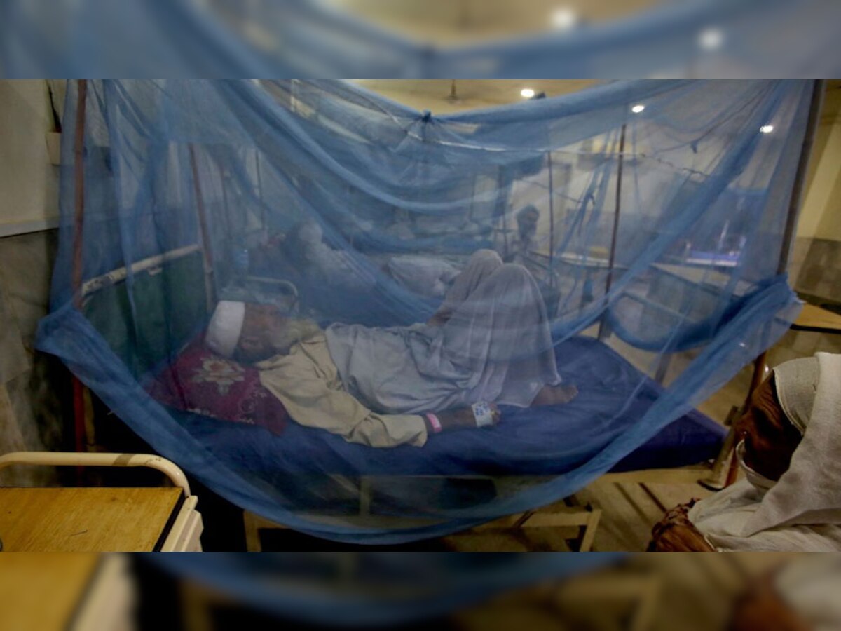 Pakistan: थोड़े दिनों पहले मदद लेने को तैयार नहीं था पाक, अब मच्छरदानी को मोहताज; फैला मलेरिया