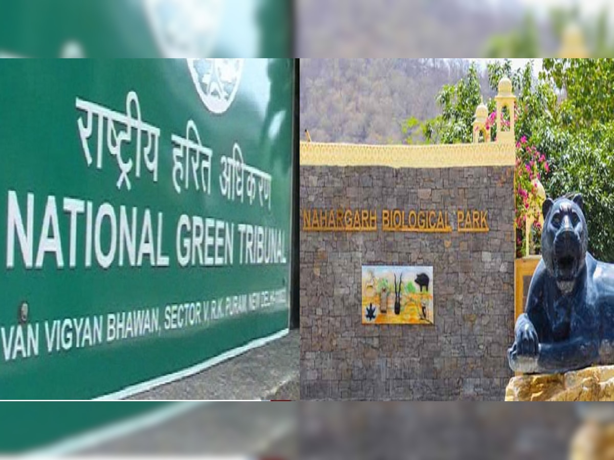 NGT की वन विभाग को फटकार, नाहरगढ़ वाइल्ड लाइफ सेंचुरी की वन भूमि पर पट्टा काटने पर जताई नाराजगी
