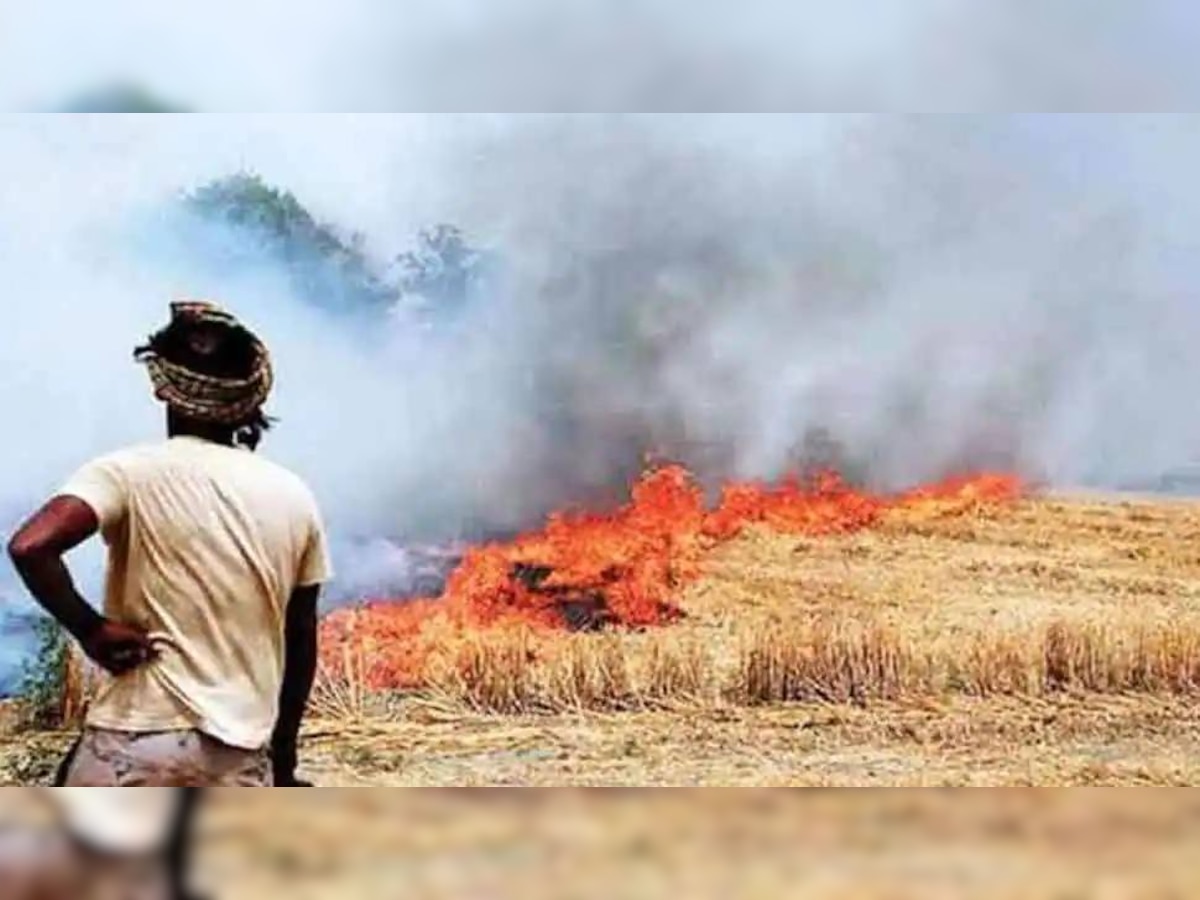 Stubble Burning- ਪਰਾਲੀ ਸਾੜਨ ਤੋਂ ਰੋਕਣ ਲਈ ਸਾਰੇ ਡਿਪਟੀ ਕਮਿਸ਼ਨਰਾਂ ਨੂੰ ਨਿਰਦੇਸ਼ ਜਾਰੀ