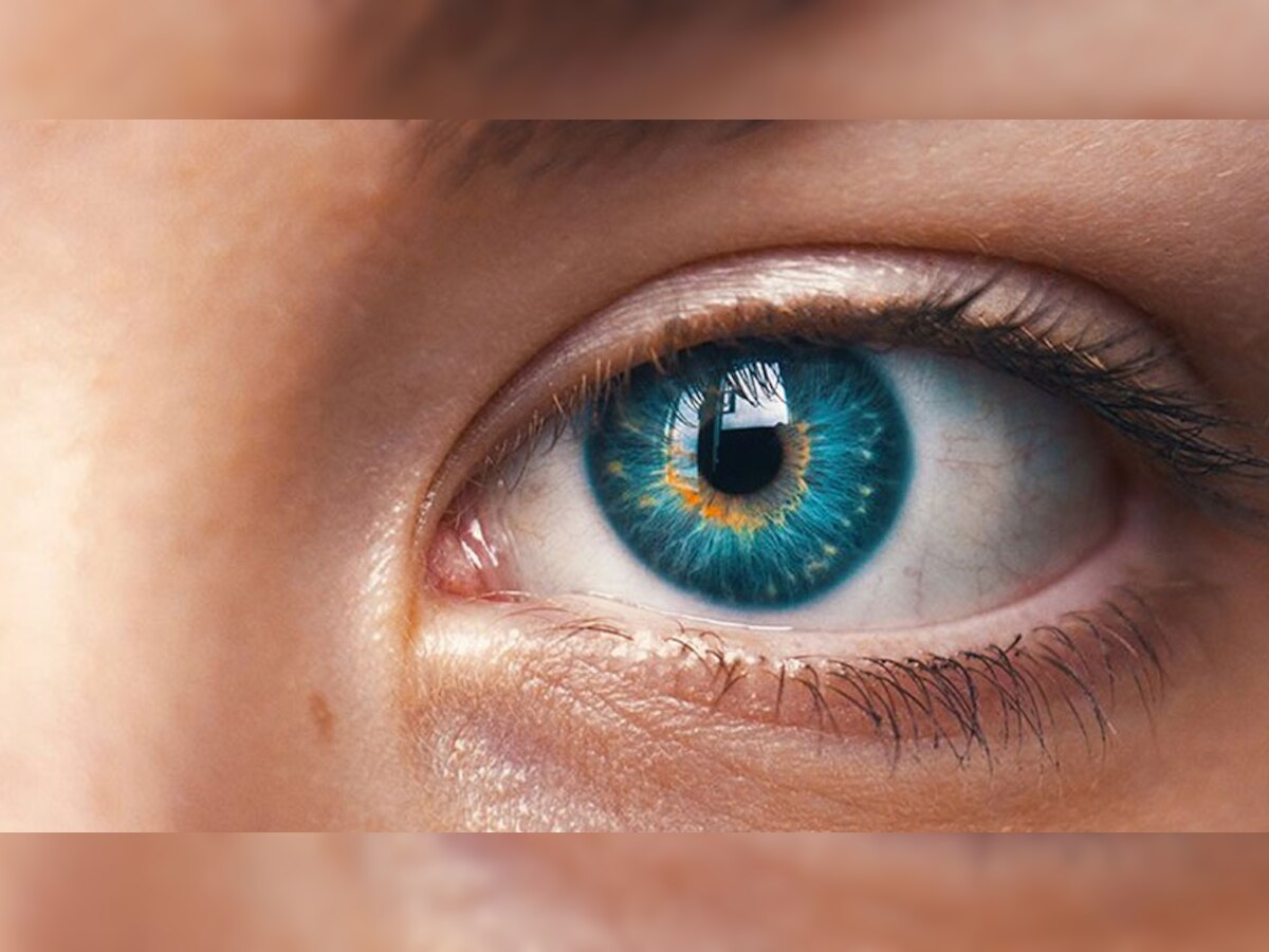 Human Eye: कितने मेगापिक्सल की होती है इंसान की आंख, 99.9 फीसदी लोग नहीं जानते ये बात!