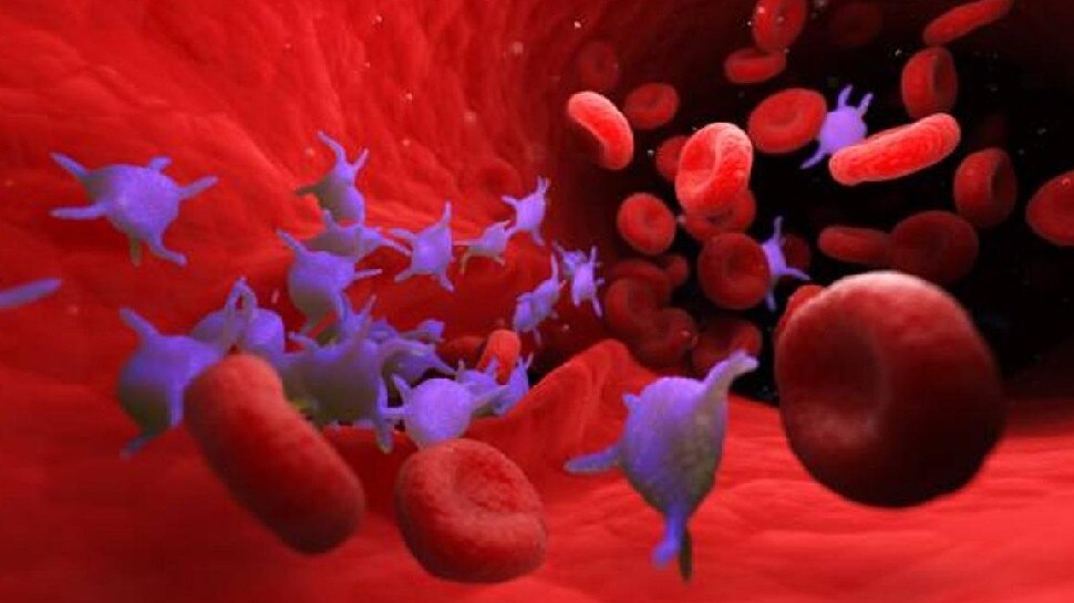 Platelets Count: डेंगू-मलेरिया में तेजी से प्लेटलेट्स बढ़ाने के लिए खाएं ये 4 चीजें